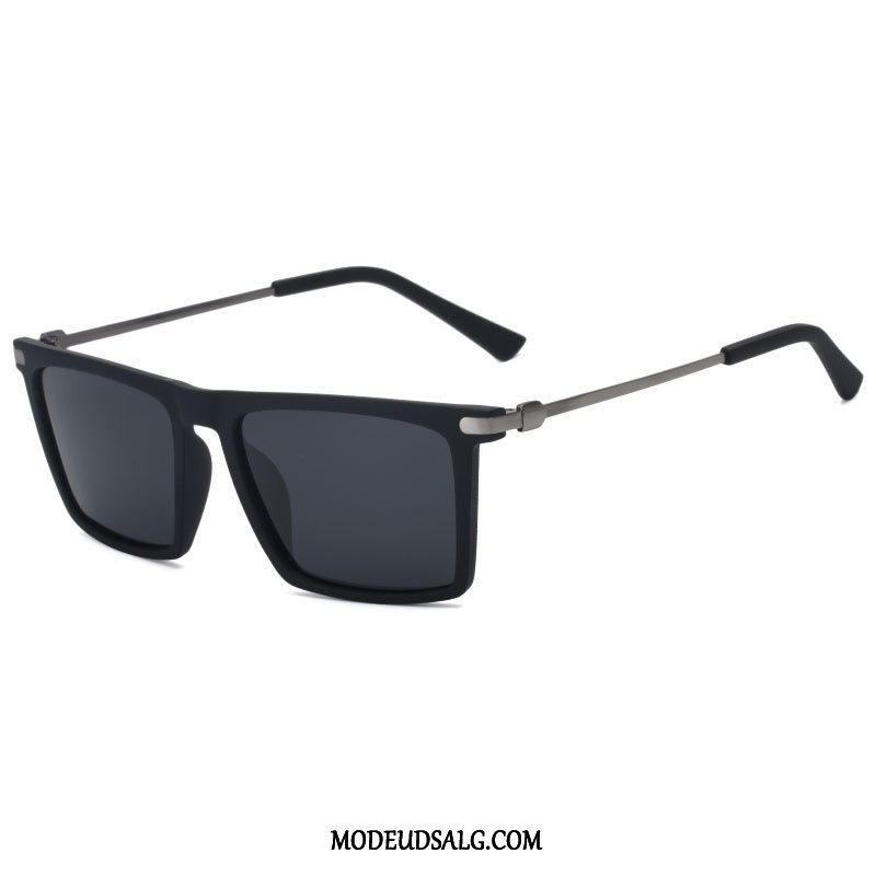 Samle Uskyld Der er behov for køb solbriller herre udsalg, billige solbriller herre tilbud online |  modeudsalg.com