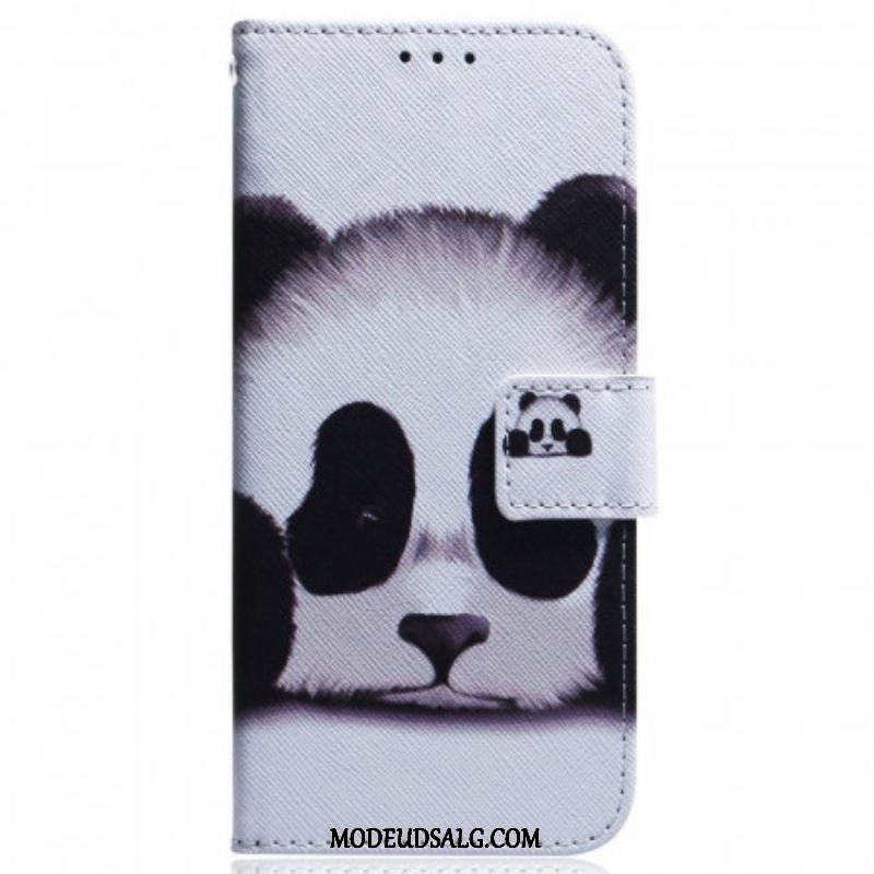 Flip Cover Samsung Galaxy M53 5G Panda