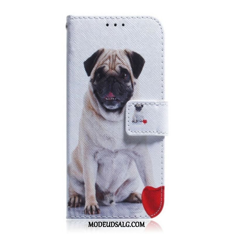 Flip Cover Samsung Galaxy S21 5G Mops Hund