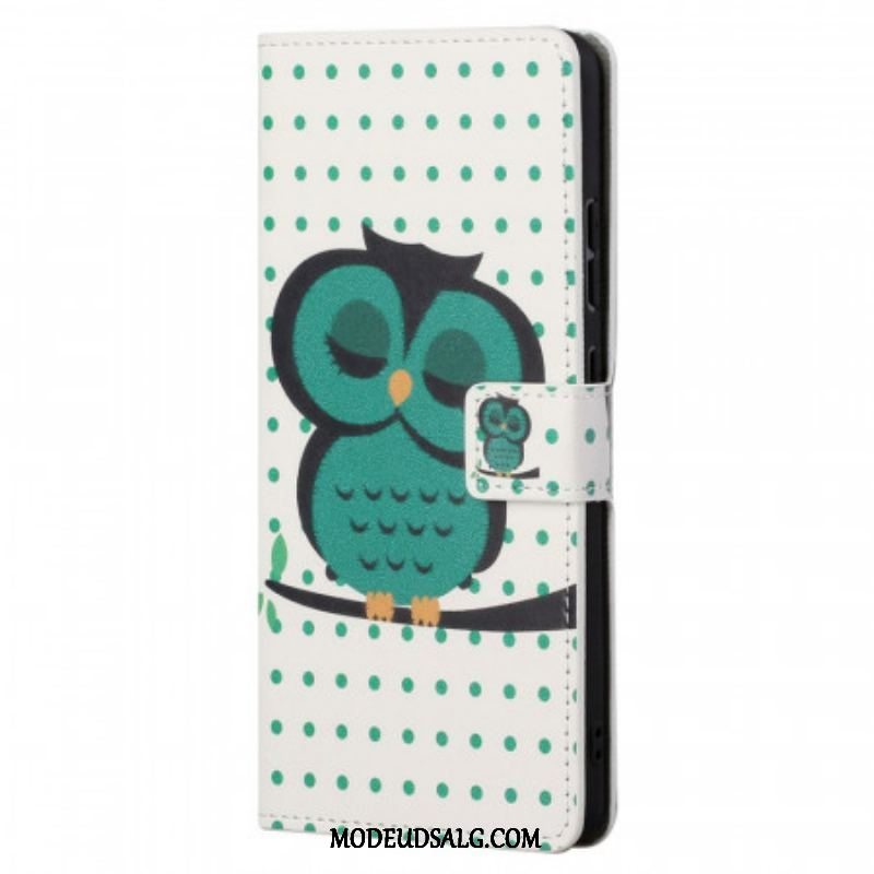 Flip Cover Xiaomi Redmi Note 11 / 11S Sovende Ugle