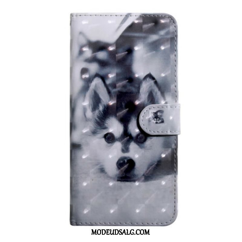 Flip Cover iPhone 13 Pro Lys Spot Hunden Gustave