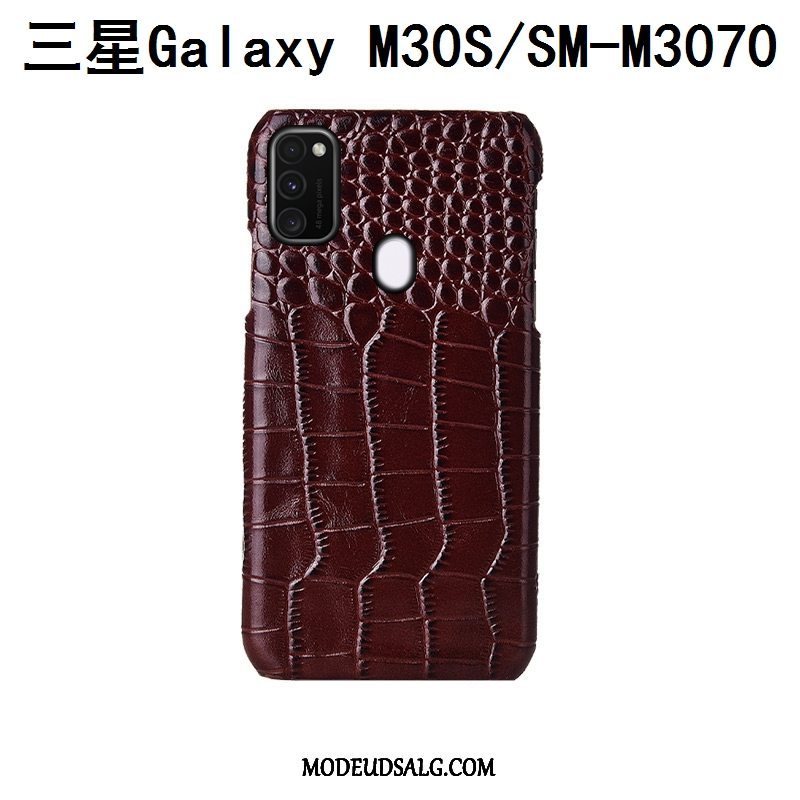 Samsung Galaxy M30s Etui Cover Bagdæksel Beskyttelse Tilpas Fugl