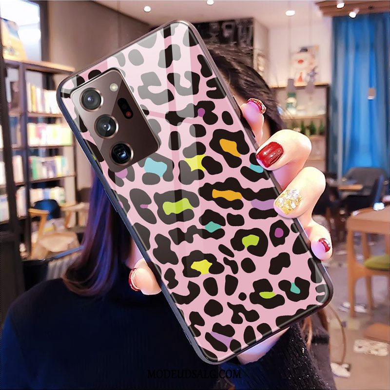 Samsung Galaxy Note20 Ultra Etui Glas Beskyttelse Tilpas Leopard Anti-fald